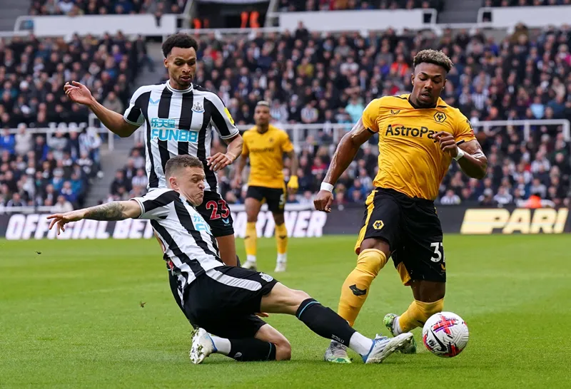Tips bóng đá chi tiết về trận đấu giữa Newcastle vs Wolverhampton uk88