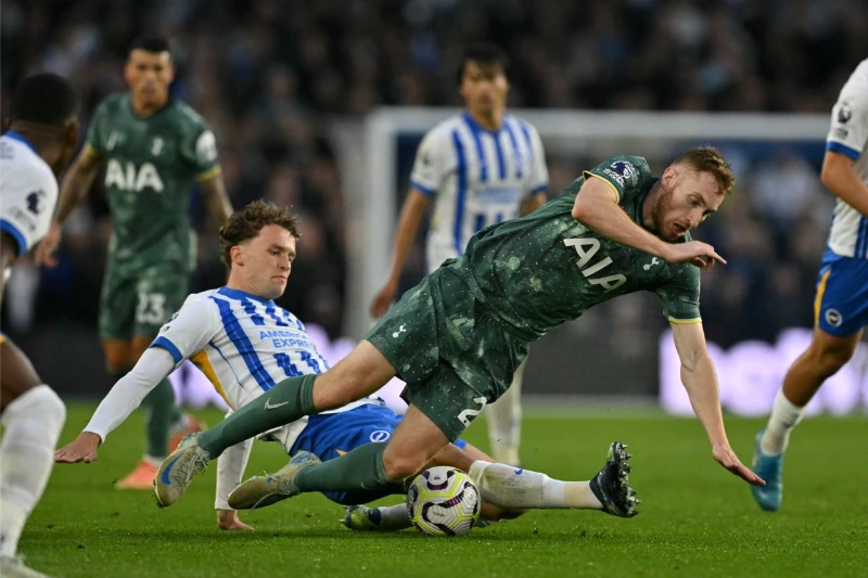 Trước trận đấu Brighton vs Tottenham