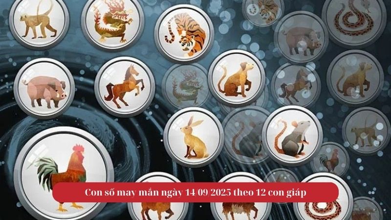Con số may mắn ngày 14/09/2025 theo 12 con giáp