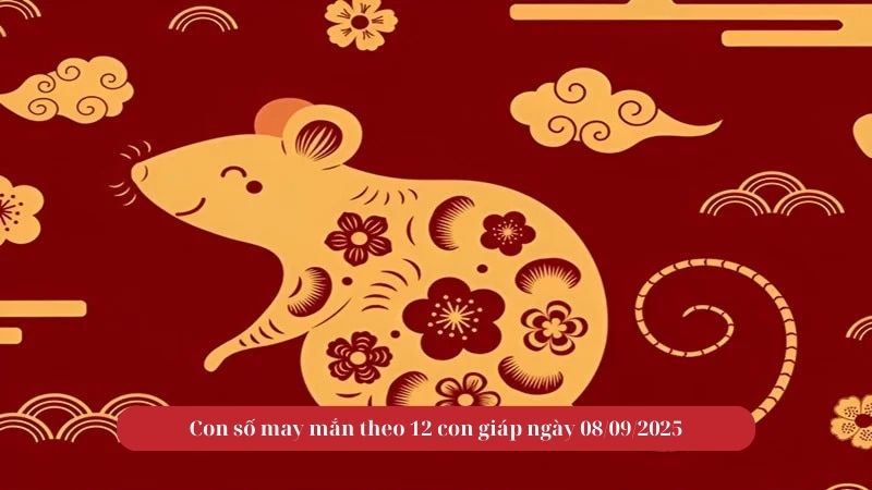 Con số may mắn theo 12 con giáp ngày 08/09/2025