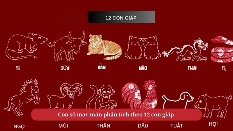 Con số may mắn phân tích theo 12 con giáp 