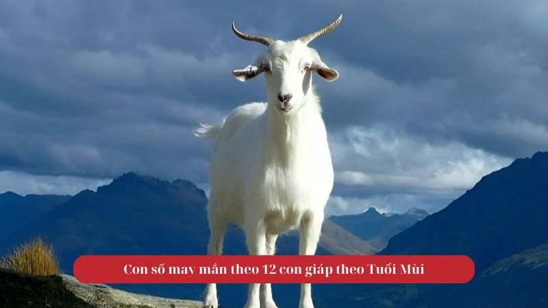 Tử vi tuổi Mùi ngày 18/09/2025