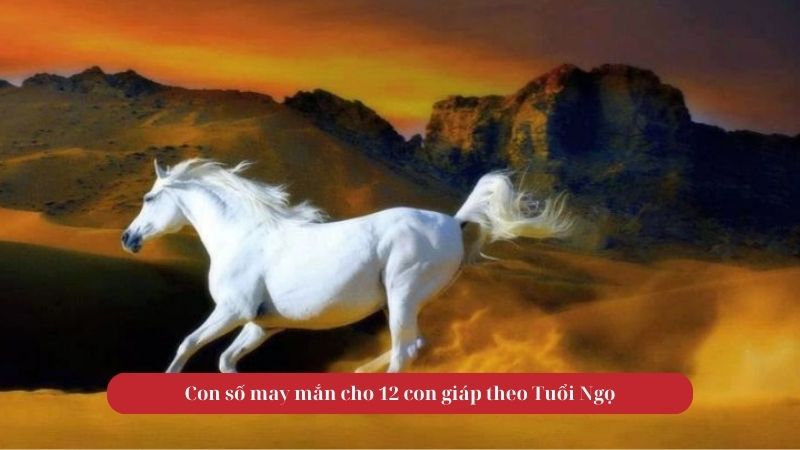Tử vi tuổi Ngọ ngày 22/09/2025