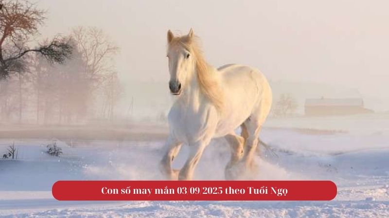 Con số may mắn theo Tuổi Ngọ