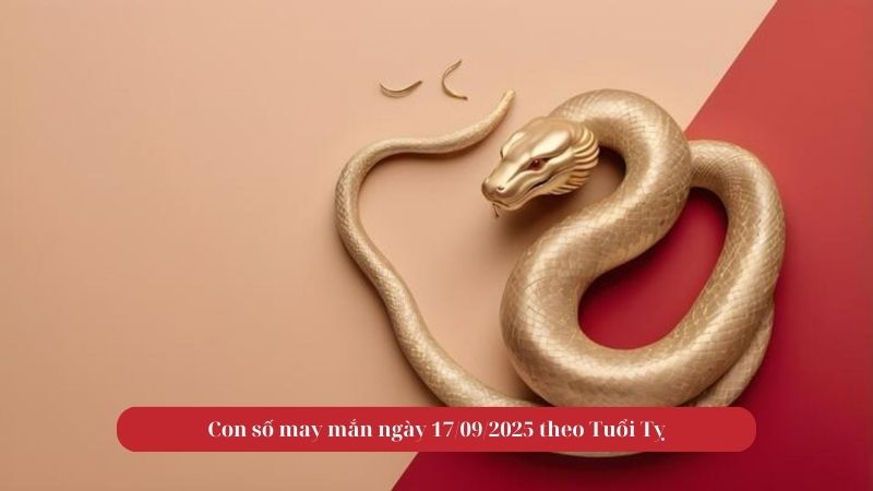 Tử vi tuổi Tỵ ngày 17/09/2025