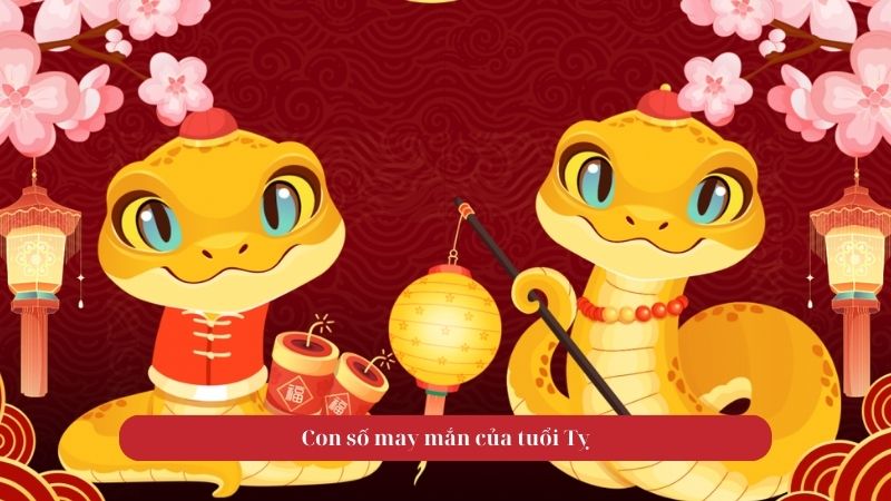 Con số may mắn của tuổi Tỵ
