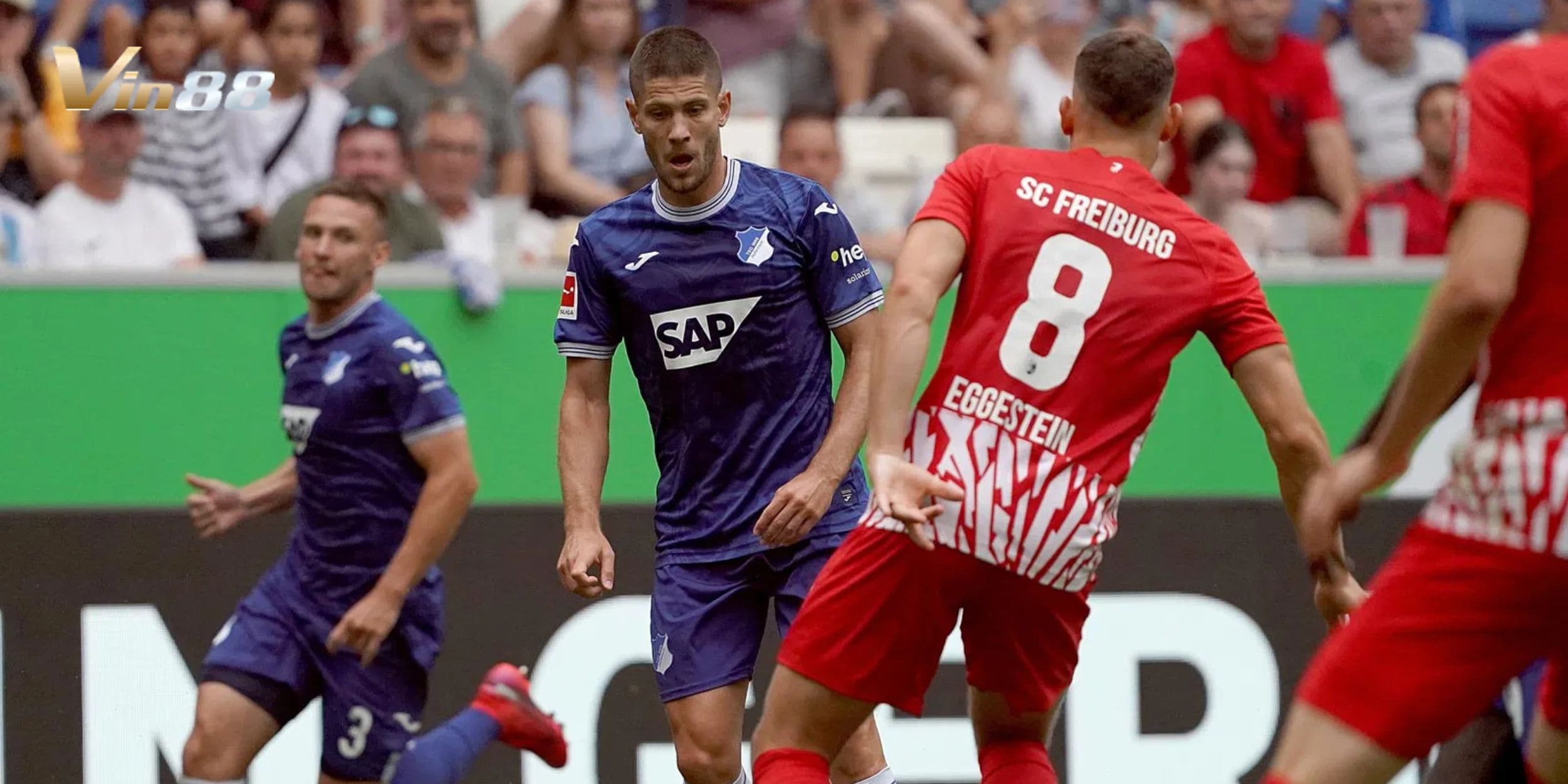 Đội hình ra sân dự kiến & sơ đồ chiến thuật của Freiburg vs Hoffenheim