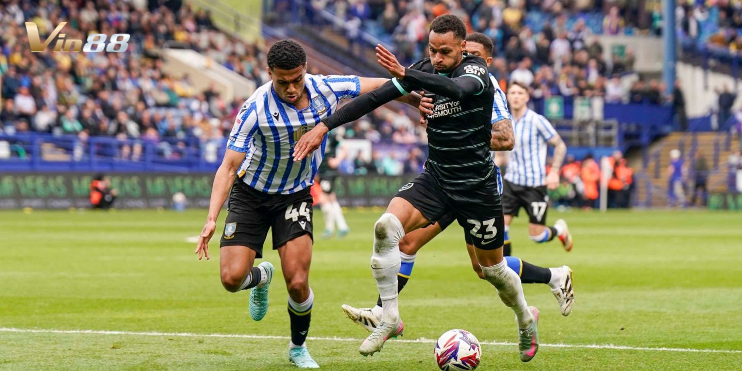 Dự đoán danh sách cầu thủ đá chính Portsmouth vs Sheffield Wednesday