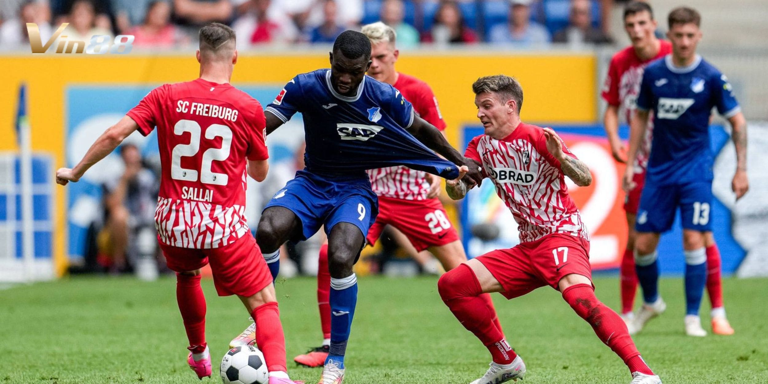 Kết quả các lần chạm trán gần đây của Freiburg vs Hoffenheim
