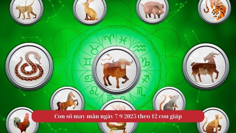 Con số may mắn ngày 7/9/2025 theo 12 con giáp