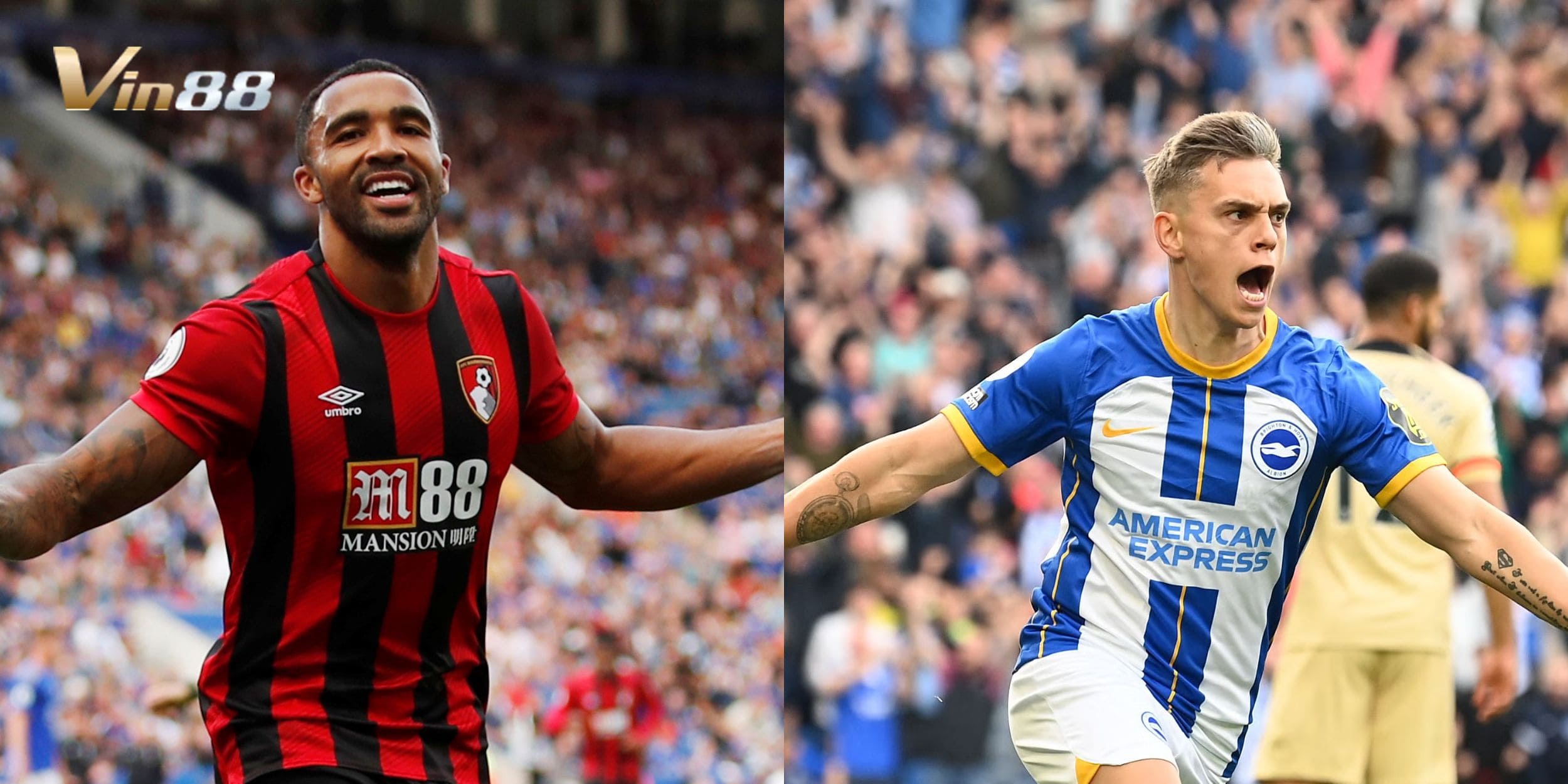 Lợi thế sân nhà giúp Bournemouth mở tỷ số trước Brighton