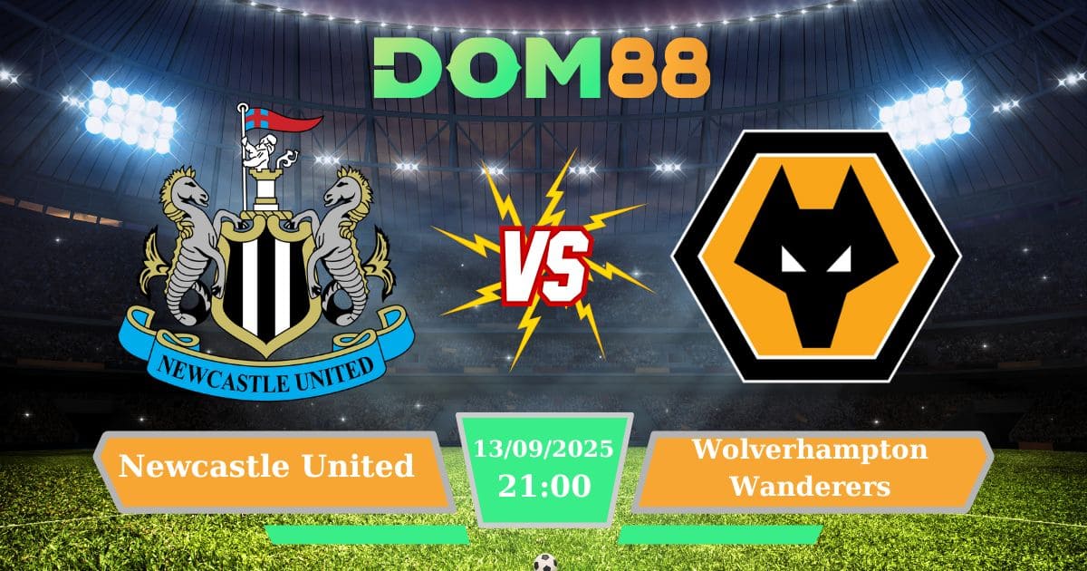 Soi kèo trận đấu giữa Newcastle United Vs Wolverhampton Wanderers ngày 13/09/2025