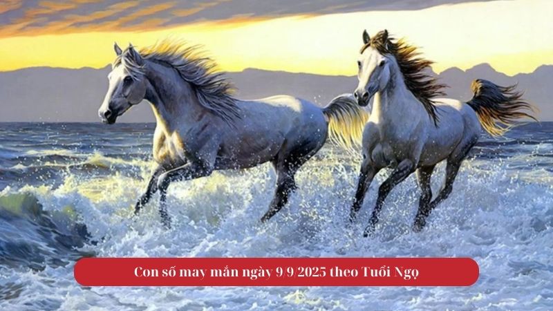 Tử vi tuổi Ngọ 9/9/2025