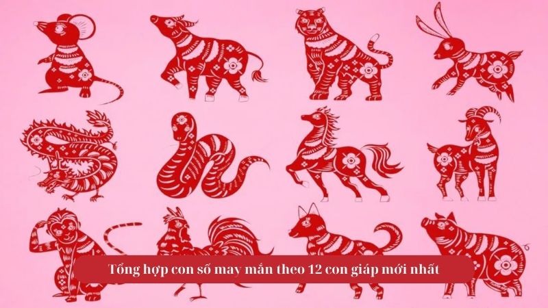 Tổng hợp con số may mắn theo 12 con giáp mới nhất