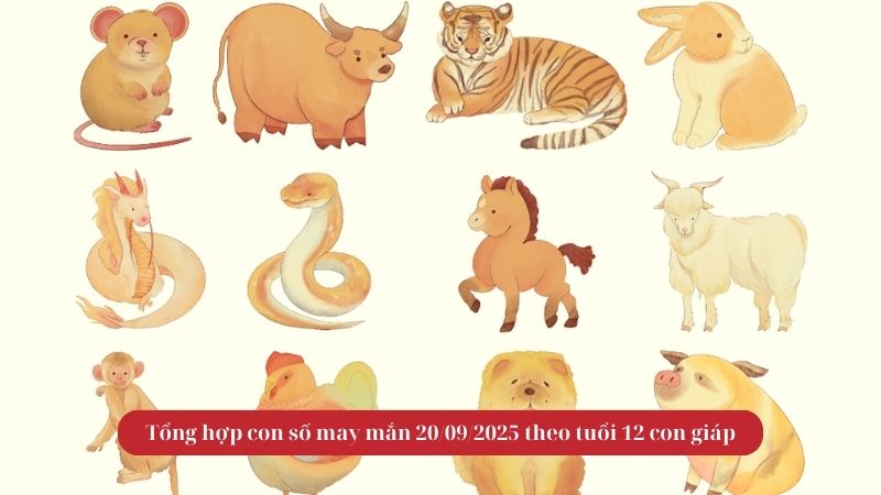 Tổng hợp con số may mắn 20/09/2025 theo tuổi 12 con giáp