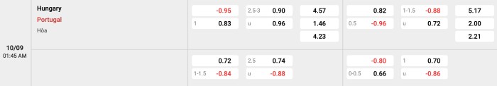 Hungary vs Bồ Đào Nha