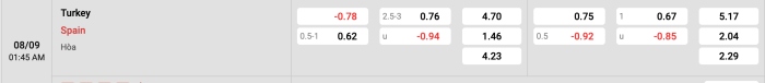Thổ Nhĩ Kỳ vs Tây Ban Nha