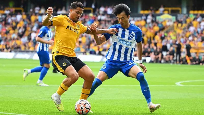 Nhận định bóng đá về trận đấu giữa Wolverhampton vs Brighton uk88