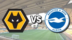 Nhận định bóng đá về trận đấu giữa Wolverhampton vs Brighton uk88
