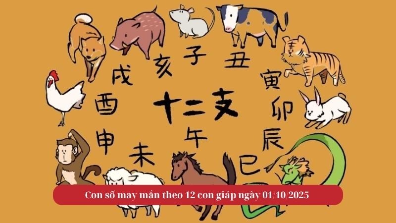 Con số may mắn theo 12 con giáp ngày 01/10/2025 