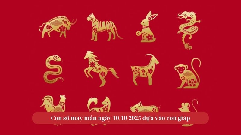 Con số may mắn ngày 10/10/2025 dựa vào con giáp