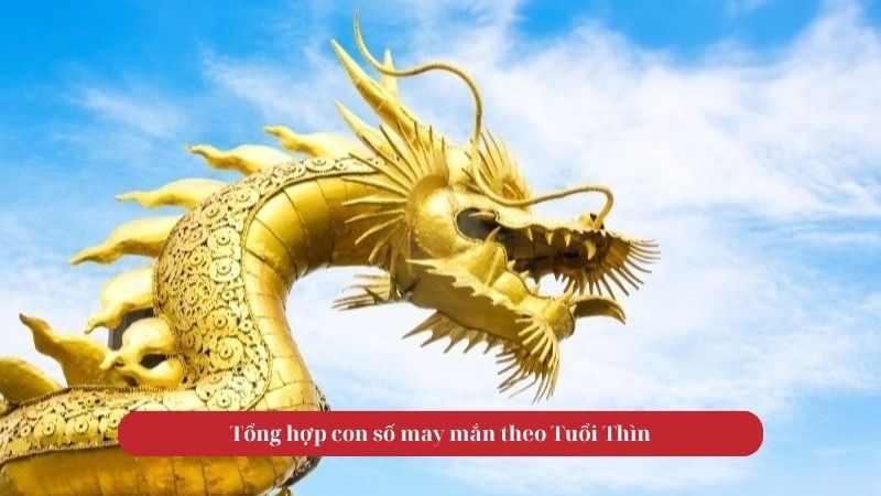 Tử vi tuổi Thìn cực đúng ngày 11/10/2025