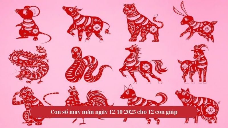 Con số may mắn ngày 12/10/2025 cho 12 con giáp