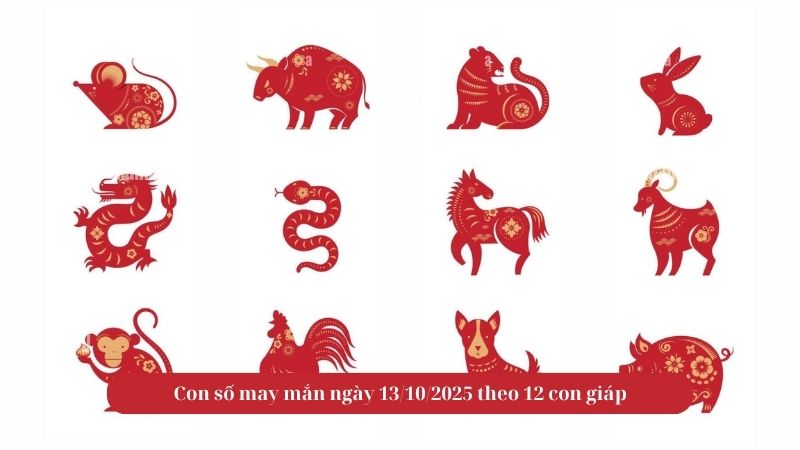Con số may mắn ngày 13/10/2025 theo 12 con giáp