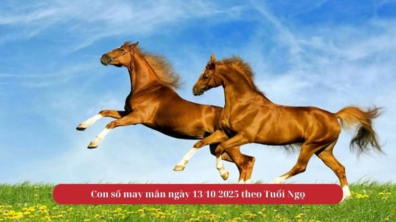 Tử vi tuổi Ngọ 13/10/2025