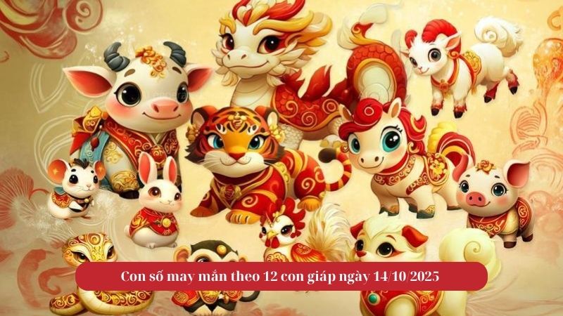 Con số may mắn theo 12 con giáp ngày 14/10/2025