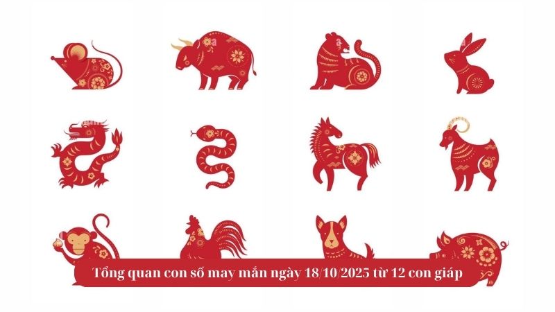 Tổng quan con số may mắn ngày 18/10/2025 từ 12 con giáp