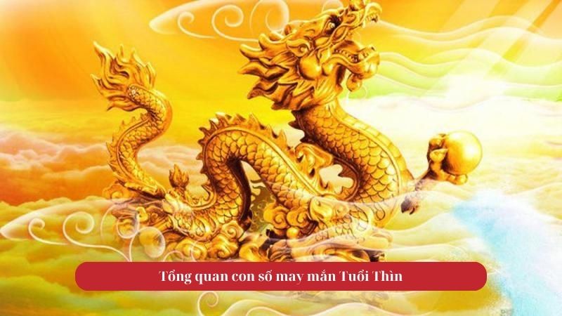 Tử vi tuổi Thìn ngày 18/10/2025