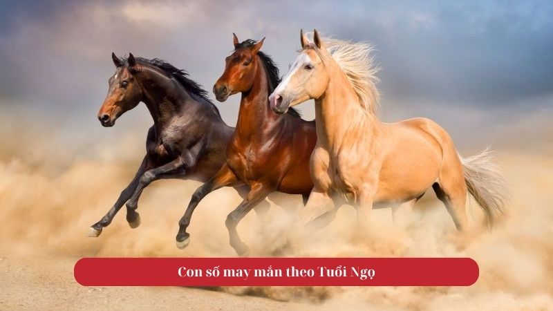 Tử vi tuổi Ngọ vào 19/10/2025