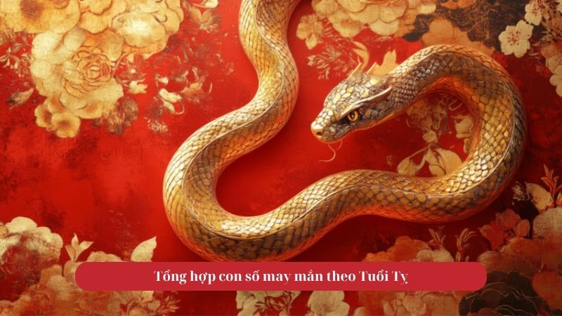 Tử vi tuổi Tỵ trong ngày 20/10/2025