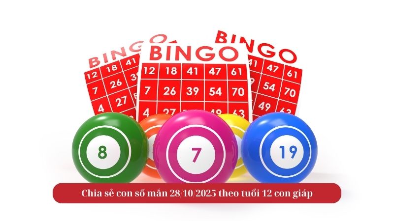 Chia sẻ con số mắn 28/10/2025 theo tuổi 12 con giáp