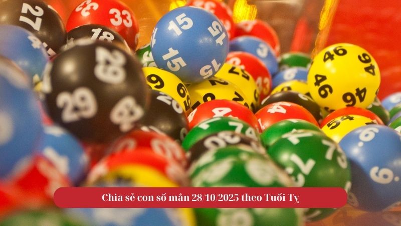 Tử vi tuổi Tỵ trong ngày 28/10/2025