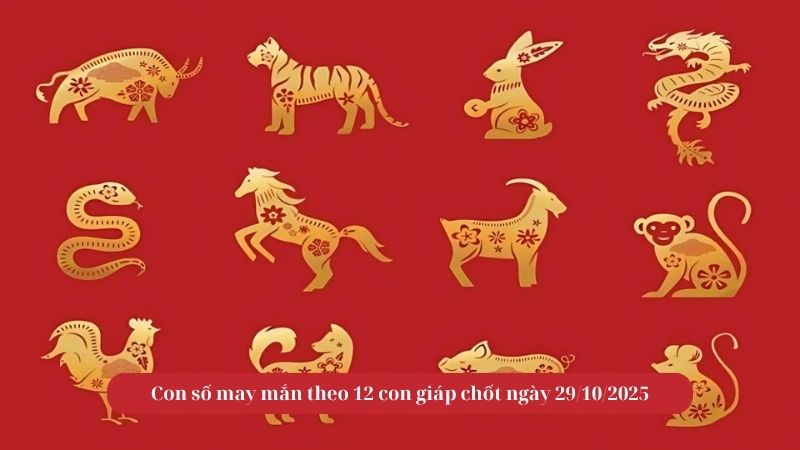 Con số may mắn theo 12 con giáp chốt ngày 29/10/2025