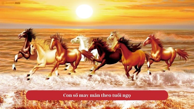 Tử vi tuổi Ngọ vào ngày 29/10