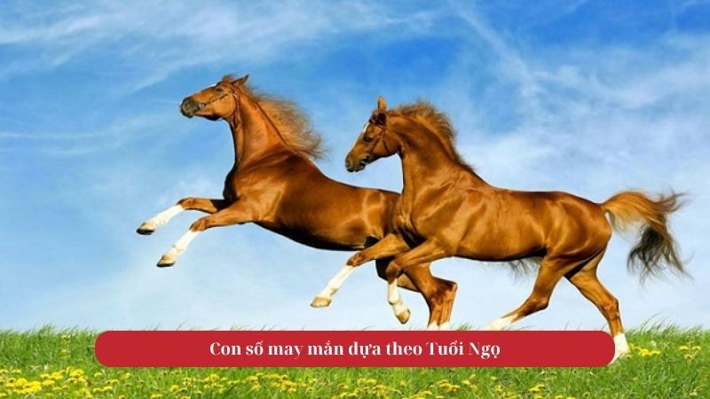 Tử vi tuổi Ngọ ngày 05/10/2025