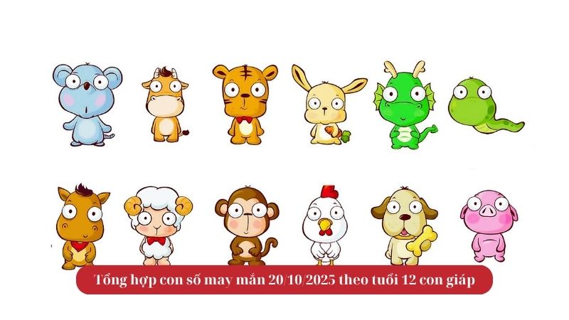 Tổng hợp con số may mắn 20/10/2025 theo tuổi 12 con giáp