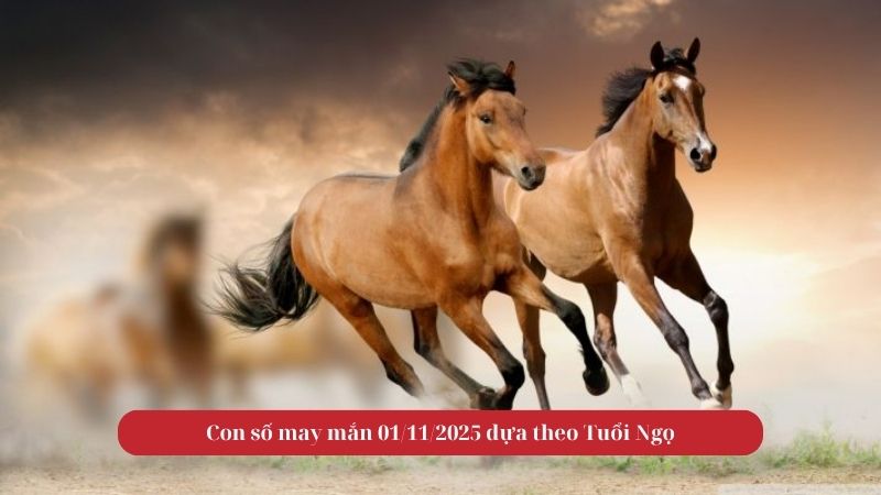Tử vi tuổi Ngọ ngày 01/11/2025
