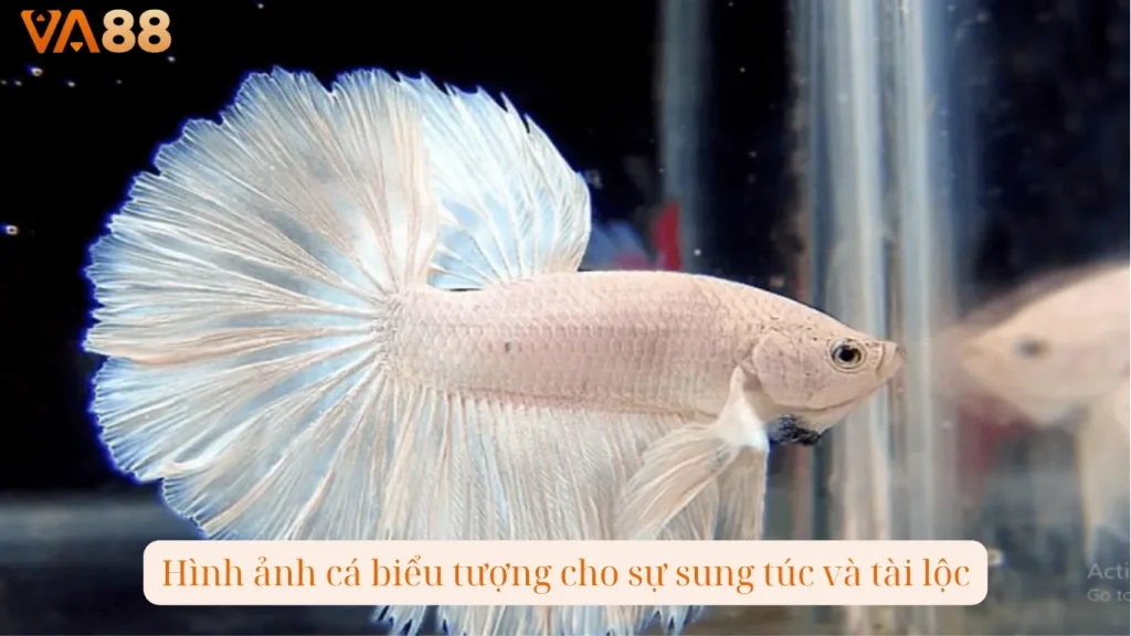 Hình ảnh cá biểu tượng cho sự sung túc và tài lộc