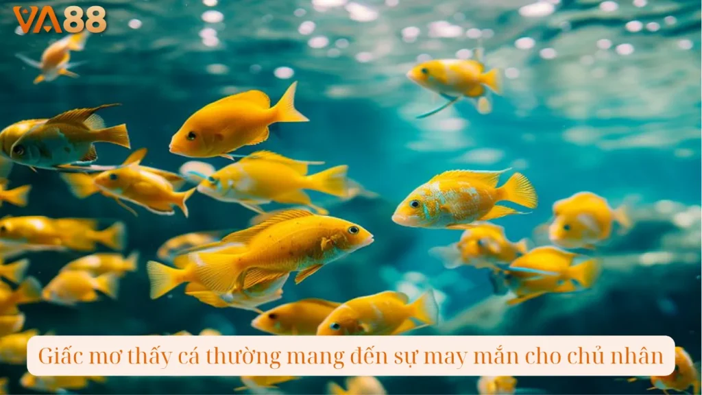 Giấc mơ thấy cá thường mang đến sự may mắn cho chủ nhân