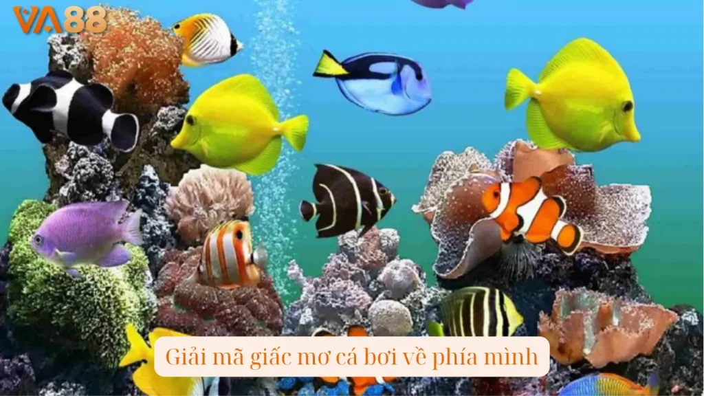 Giải mã giấc mơ cá bơi về phía mình