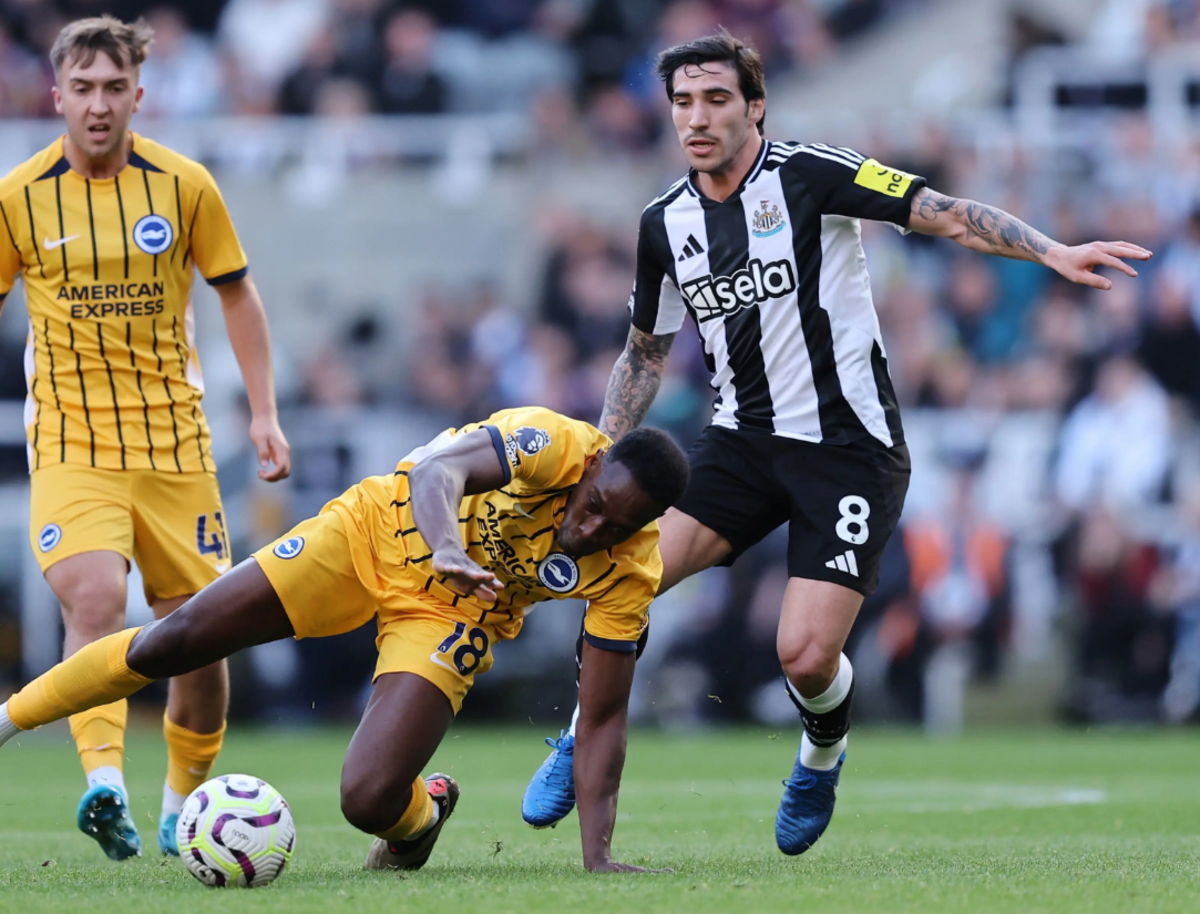 Dự đoán tỷ số Brighton - Newcastle: 2-1