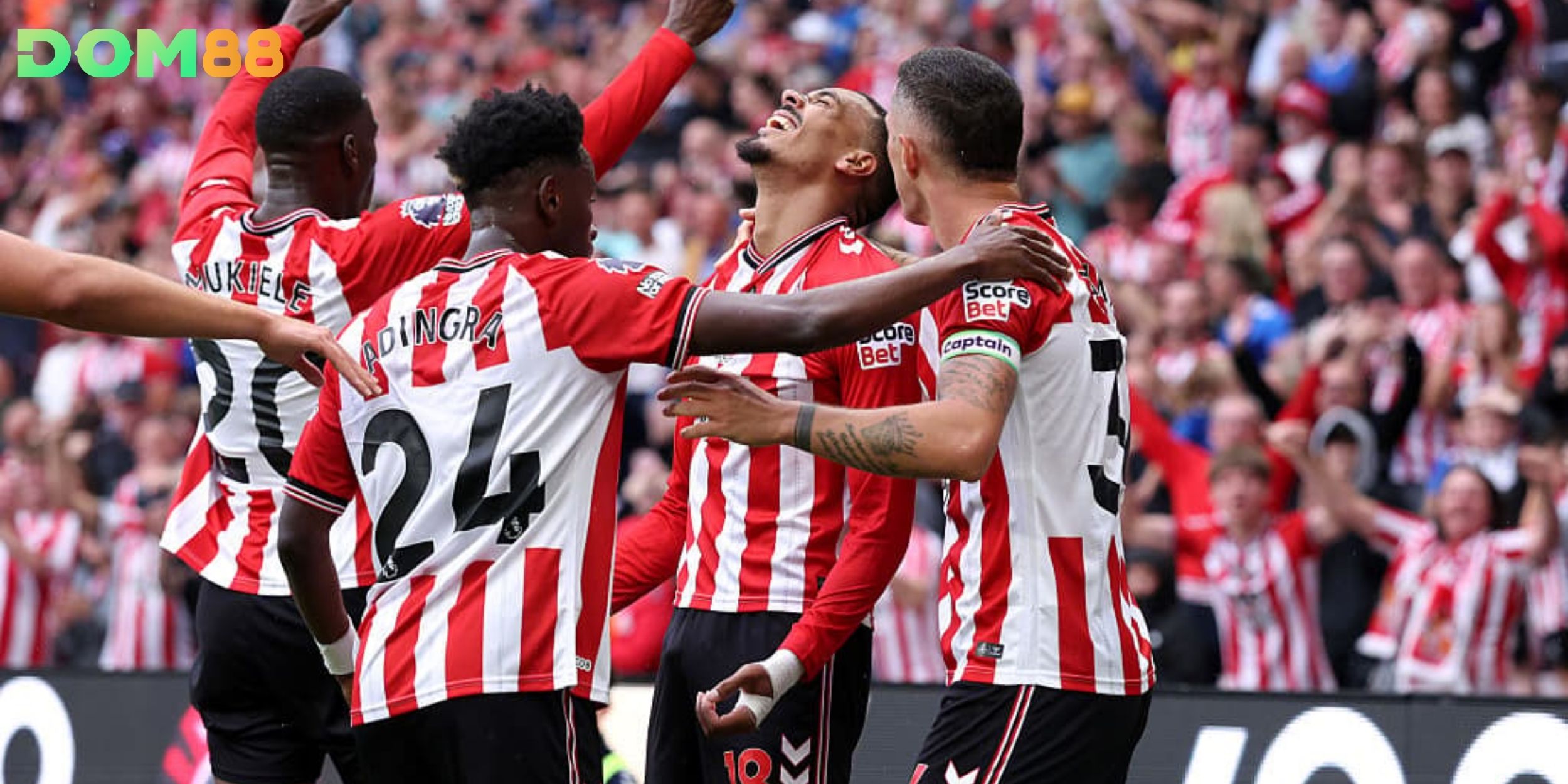 Sunderland sử dụng sơ đồ 4-2-3-1 để chuyển trạng thái nhanh