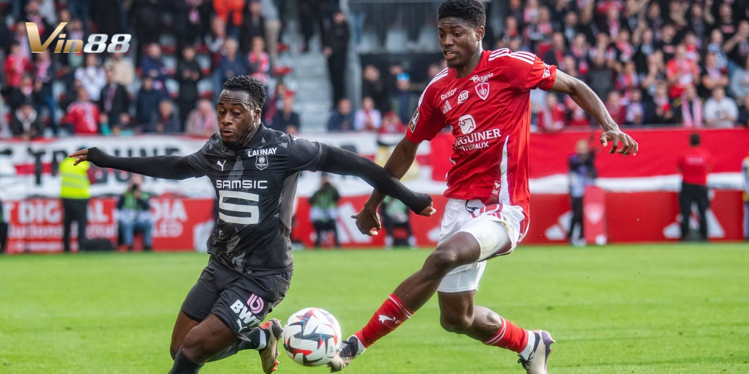 Thông tin đội hình dự kiến, sơ đồ chiến thuật khả thi của Le Havre vs Rennes