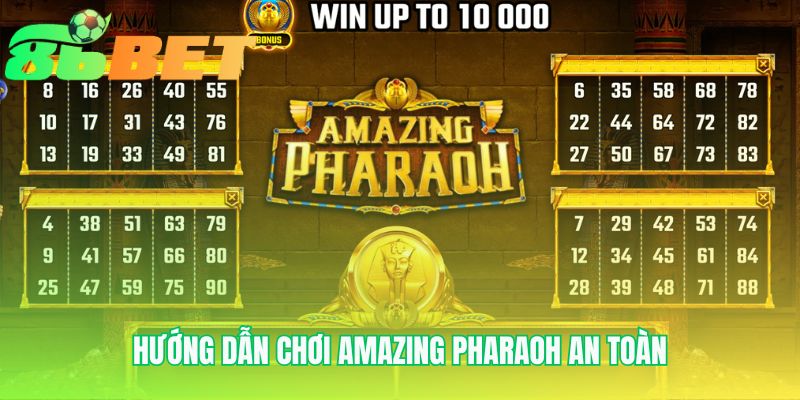 Quy trình tham gia cá cược an toàn tại hệ thống 86BET uy tín