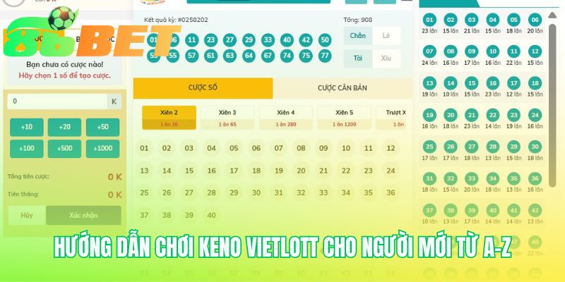 Hướng dẫn chơi Keno Vietlott với các bước cược cơ bản nhất