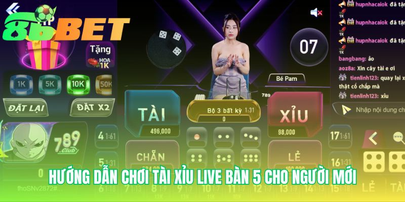 Hướng dẫn chơi tài xỉu live bàn 5 qua 3 bước vào bàn đơn giản